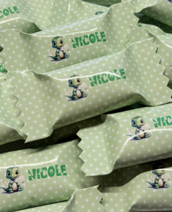 Bonbons personalisiert Gastgeschenk Mitgebsel Streudeko Tischdeko Kindergeburtstag Dino Dinosaurier grün